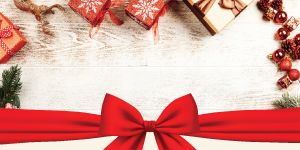 Adventní kalendář a další možnosti podpory Brandýského Matýska